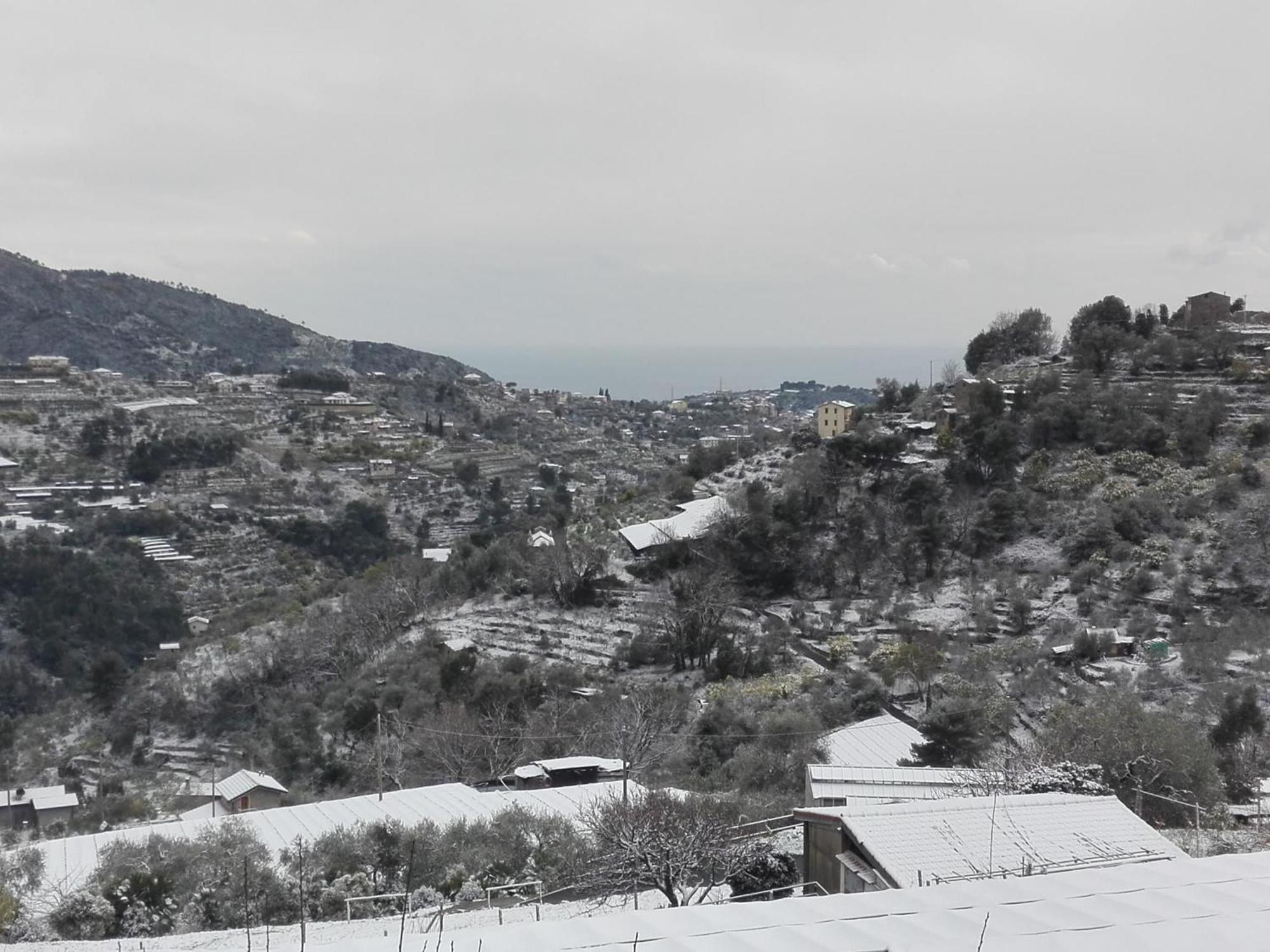 Il Nido Del Viaggiatore Vallebona 외부 사진